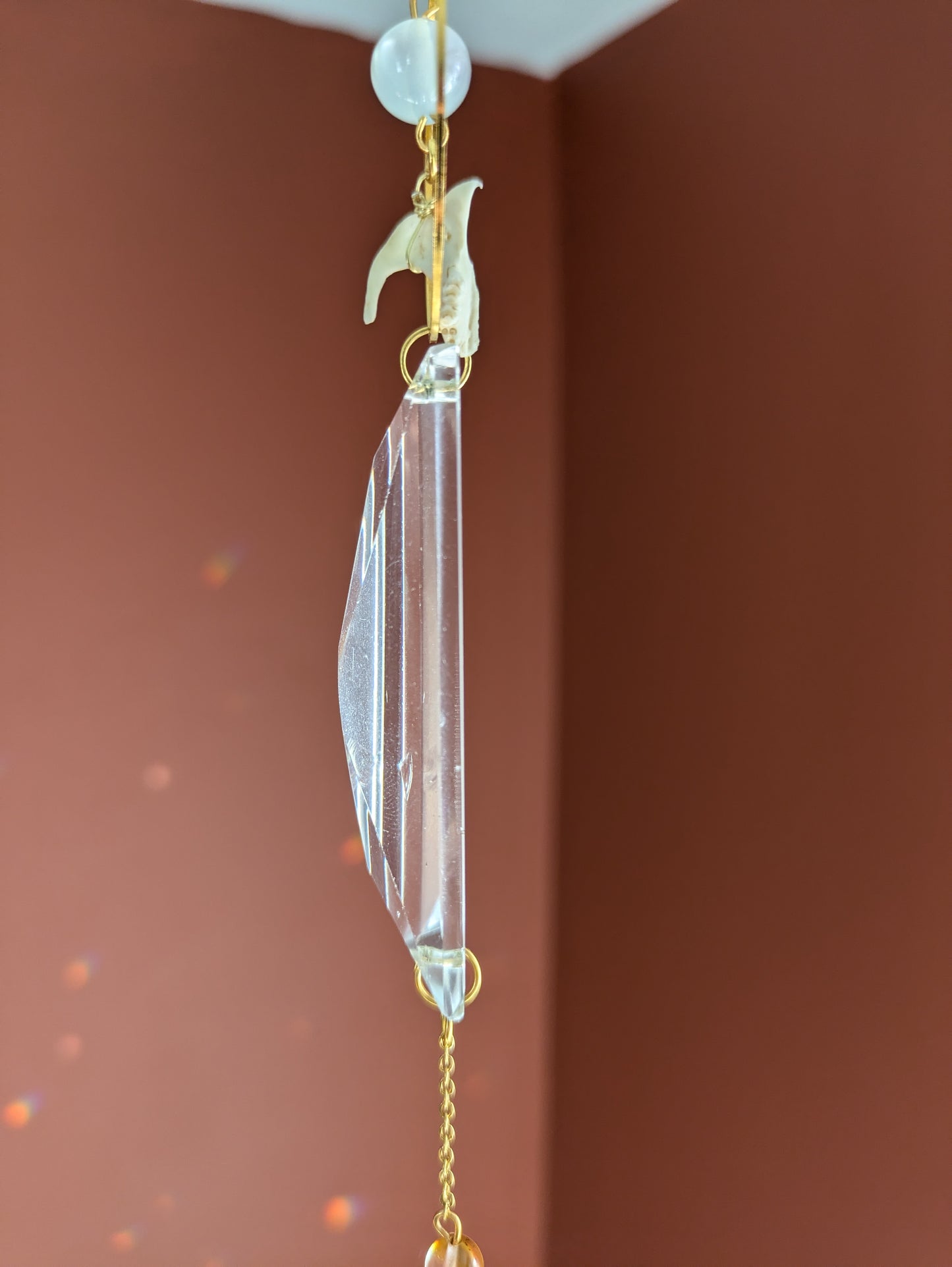 Rat Skull Fragment Sun Catcher