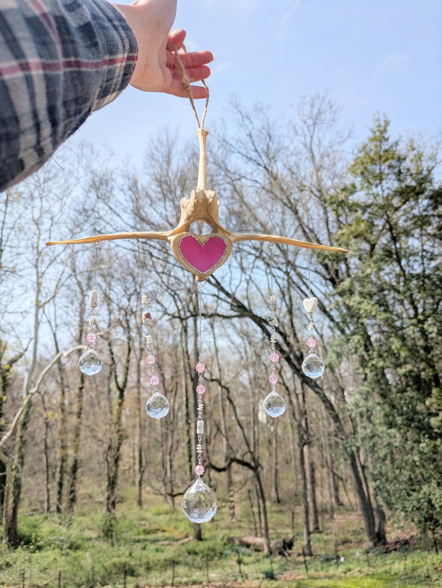 Cow Vertebra Lovely Sun Catcher