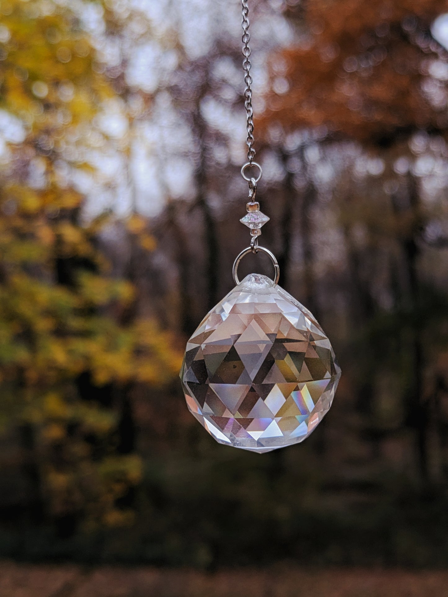 Deer Vertebra Sun Catcher