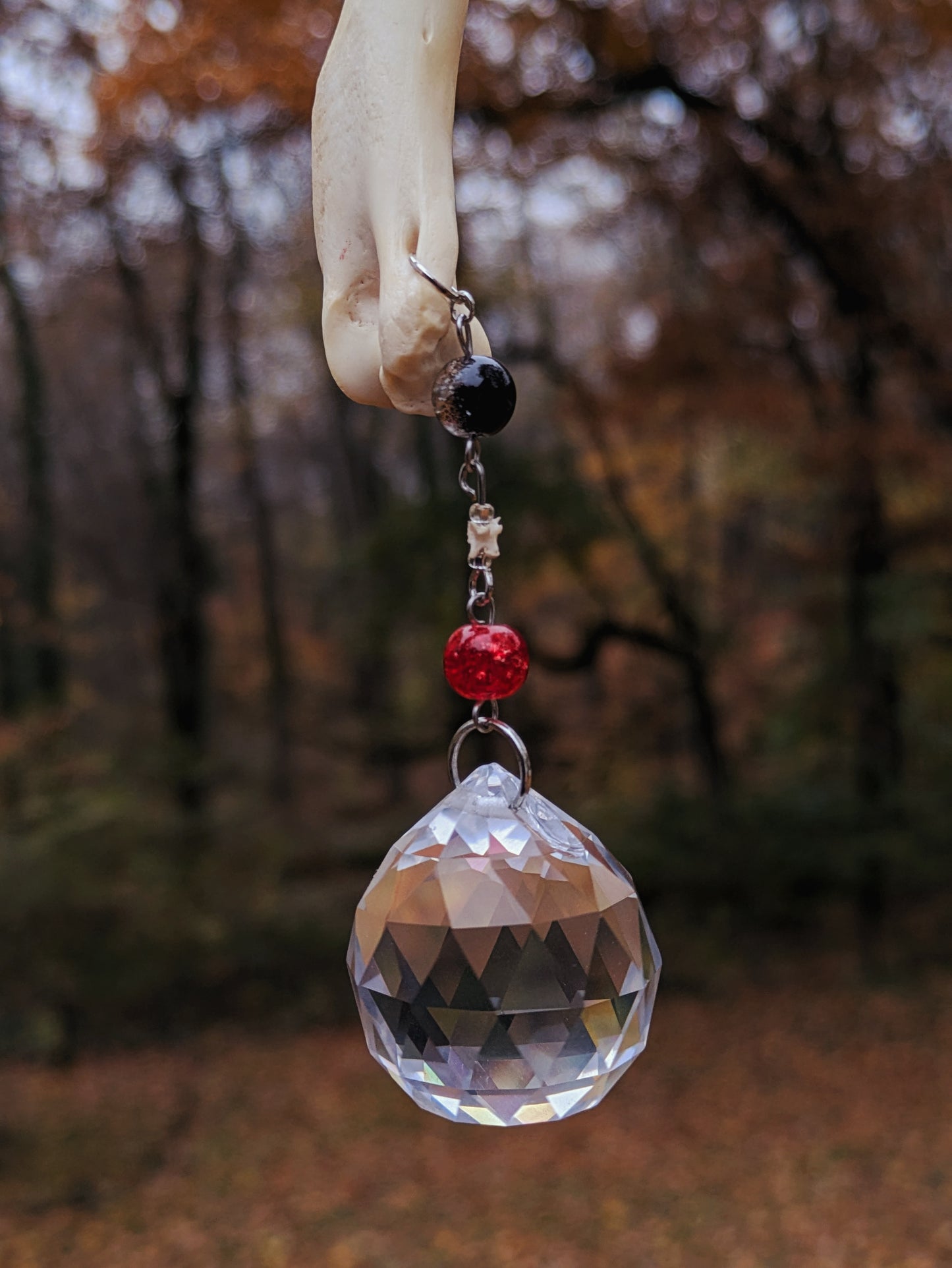 Cat and Snake Bone Sun Catcher