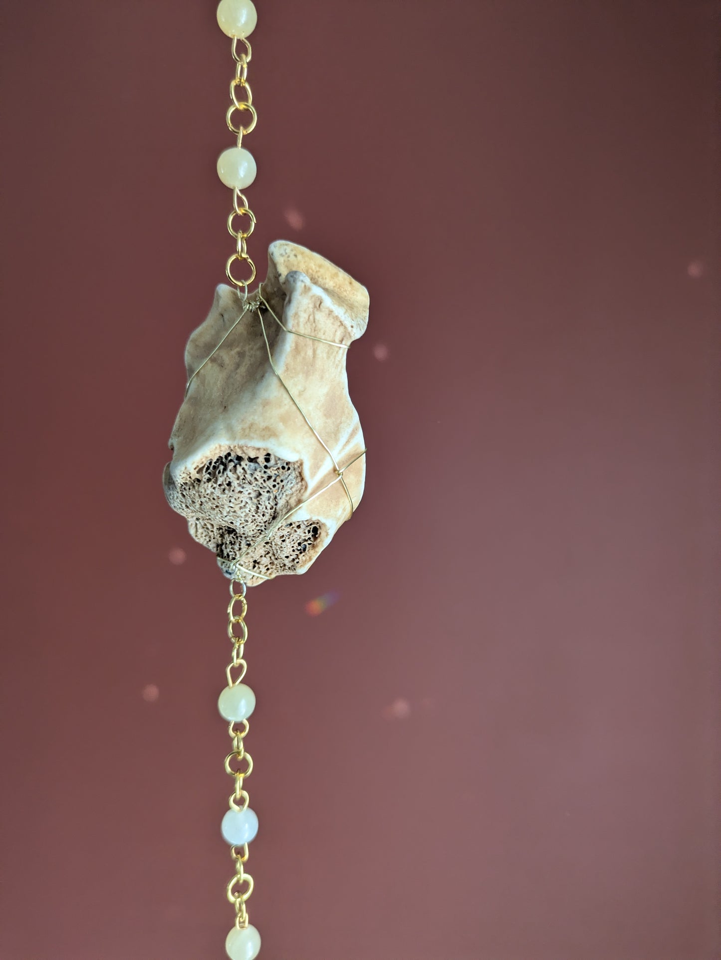 Tumbled Cow Bone Fragment Sun Catcher