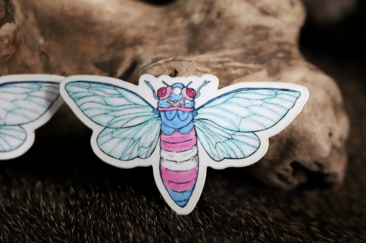 Cicada Pride Flag Vinyl Sticker