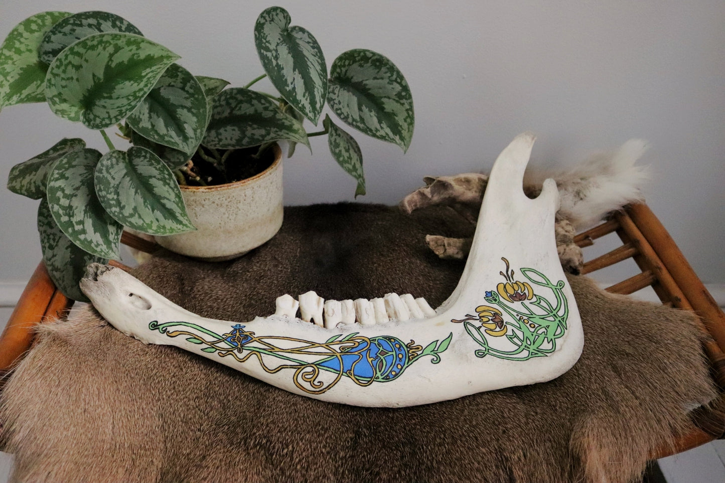 Art Nouveau Painting on Cow Jawbone