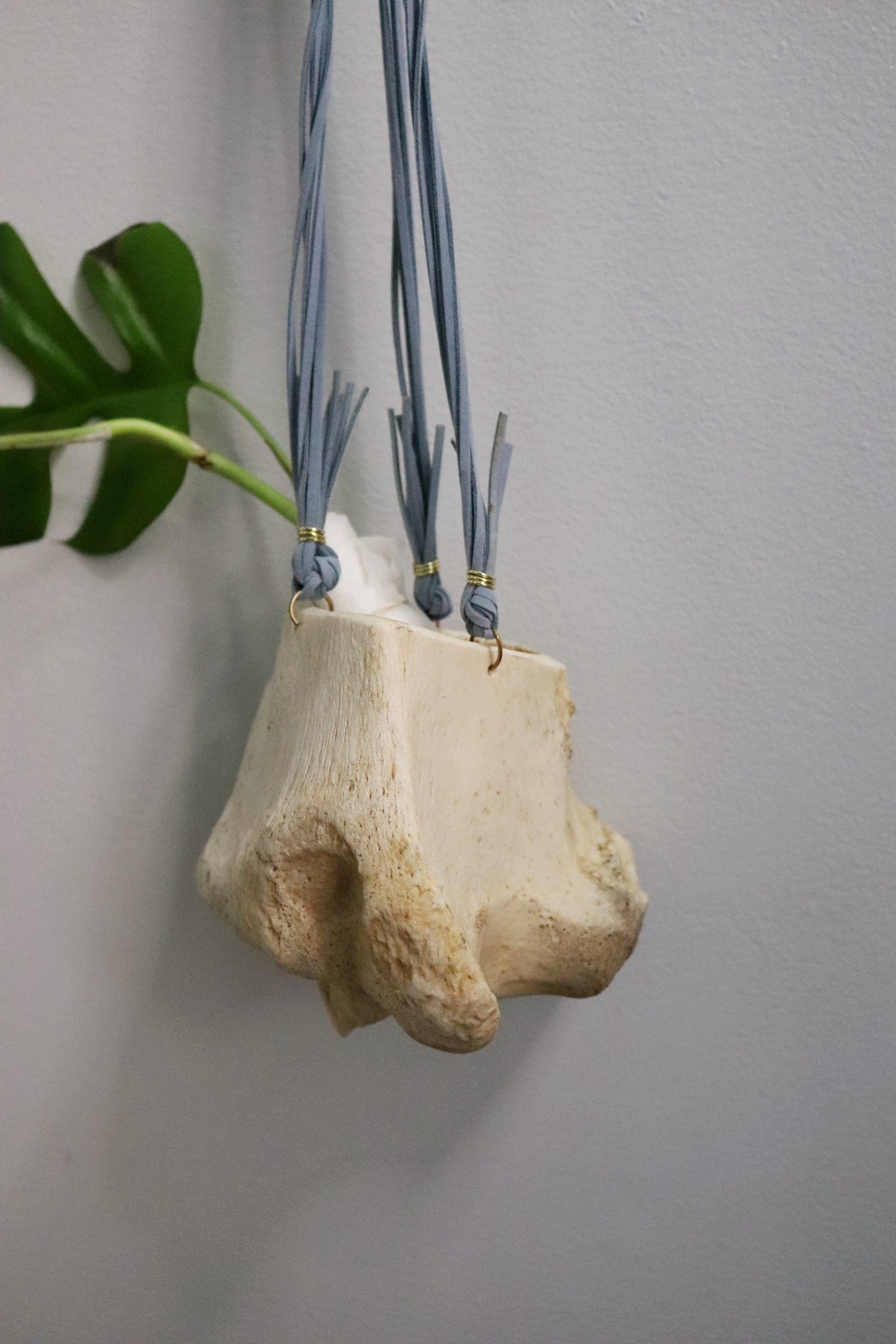 Leg Bone Planter Sued and Metal Hanger