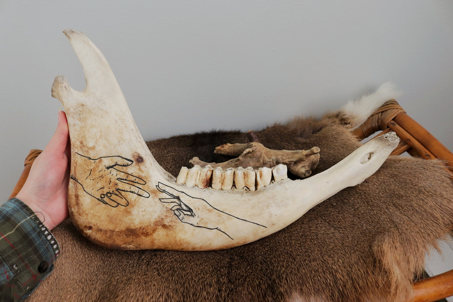 "Almost" Original Painting on Cow Jawbone