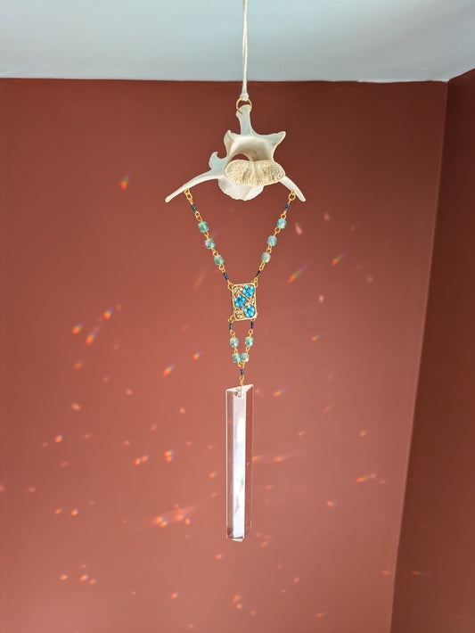 Deer Vertebra Sun Catcher