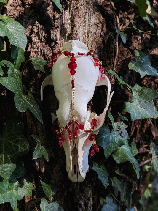 "Bleeding Heart" Coyote Skull