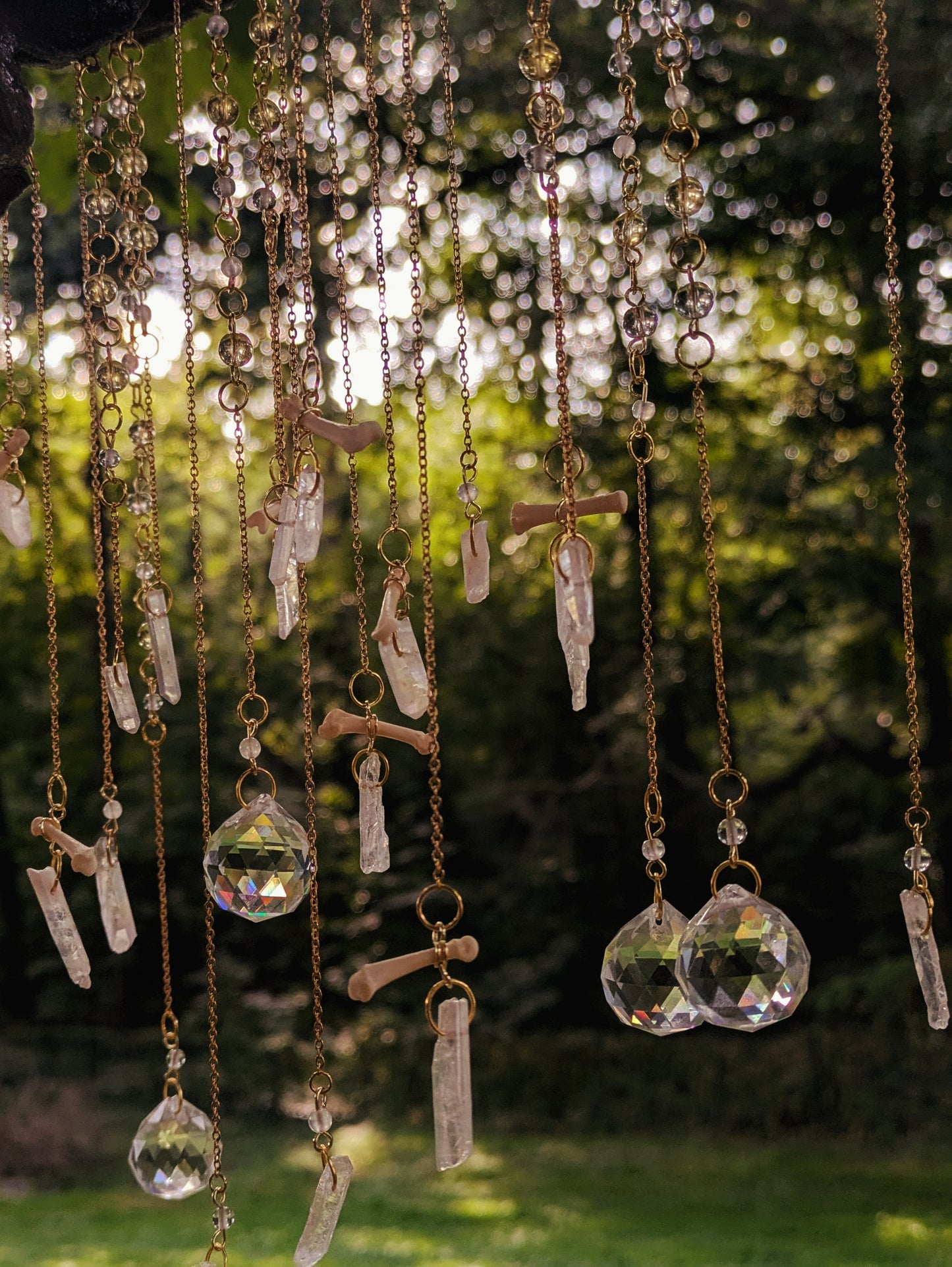 Raccoon Toe Bones Mobile Hanging