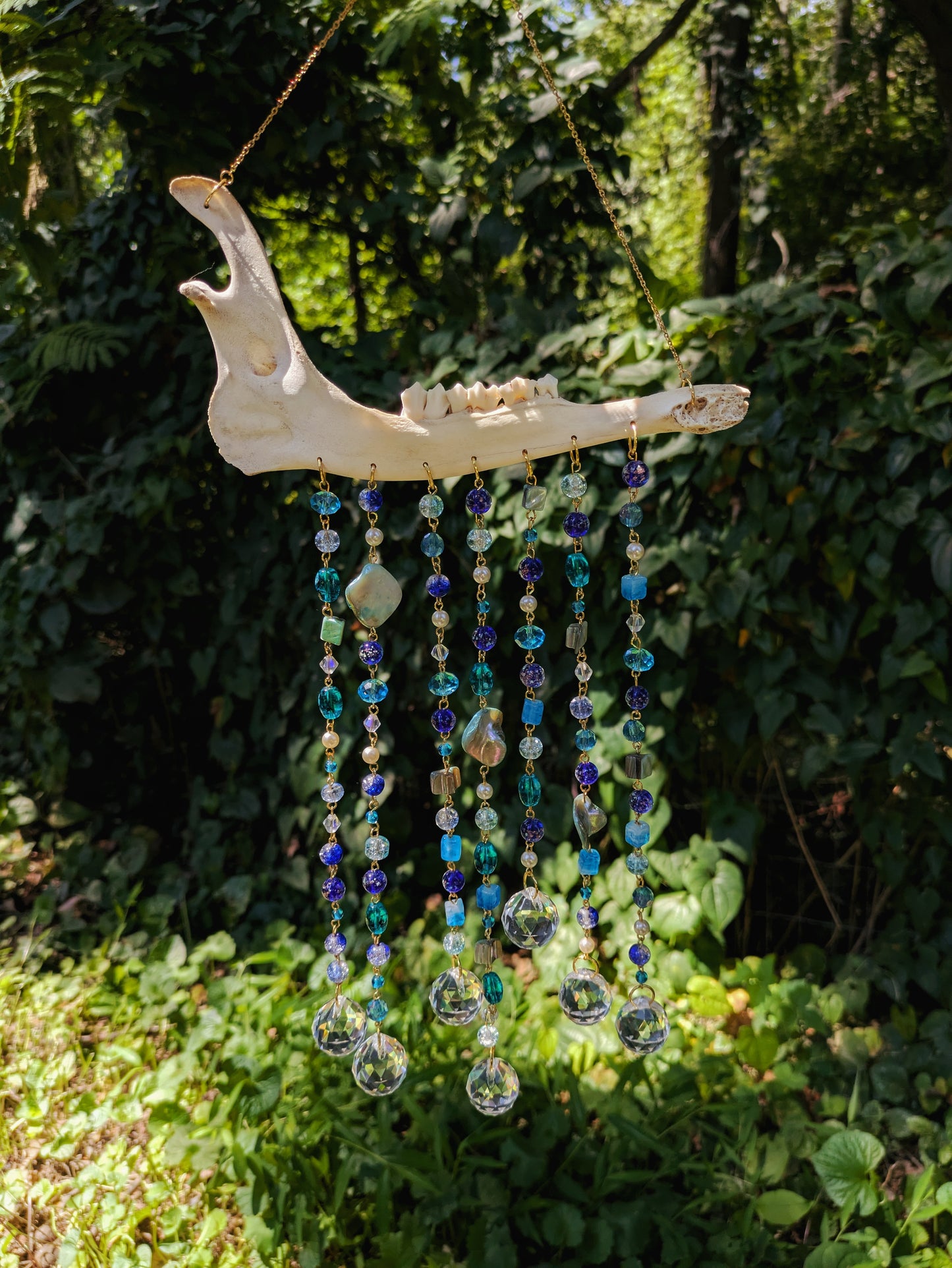 Deer Jawbone Sun Catcher