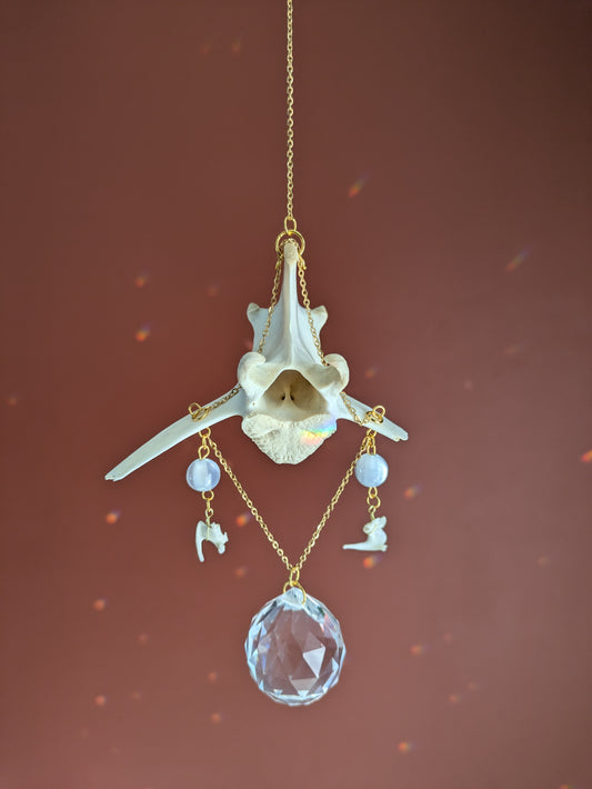 Deer Vertebra & Rat Skull Sun Catcher