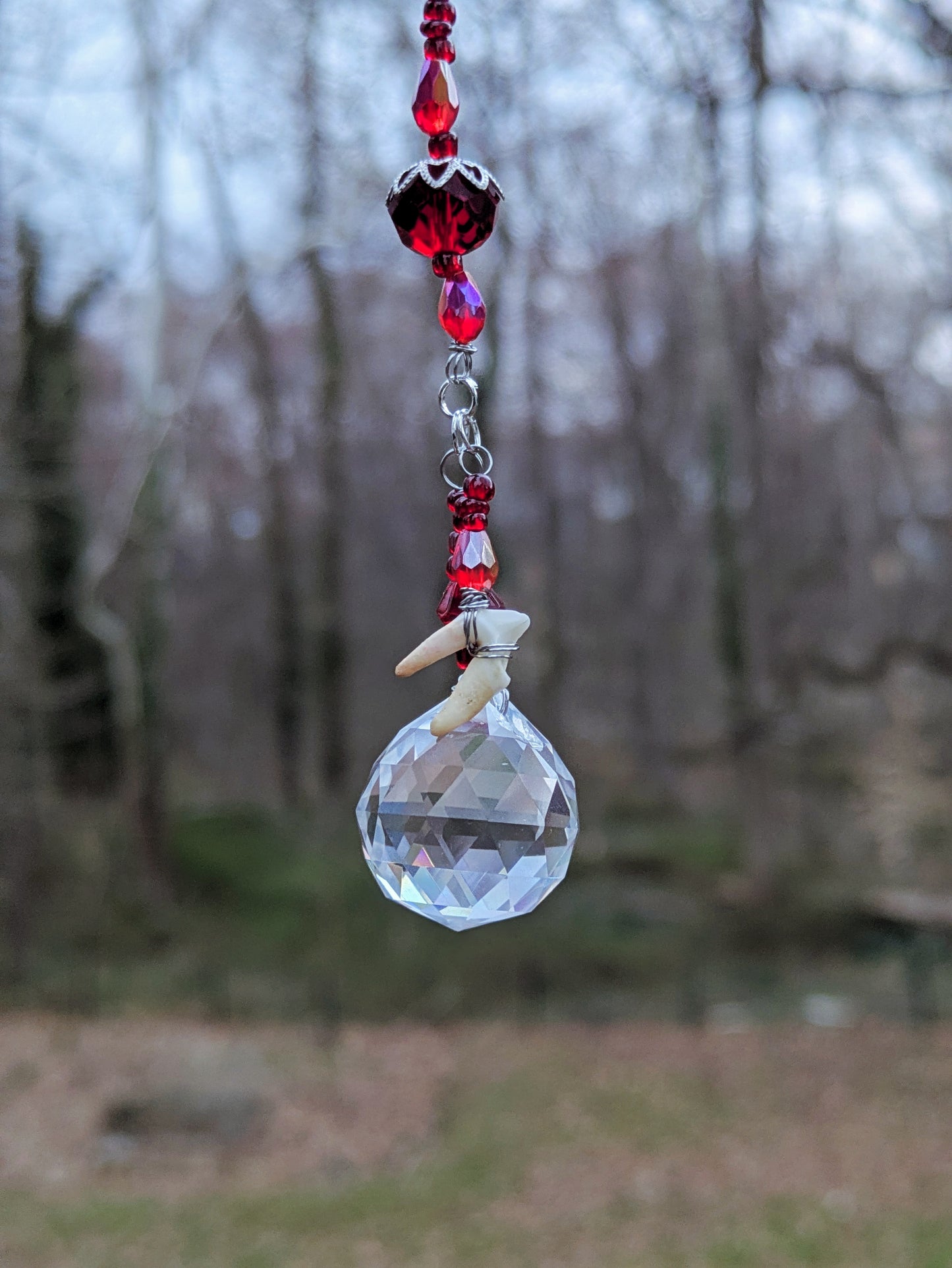 Fox Tooth Mini Sun Catcher