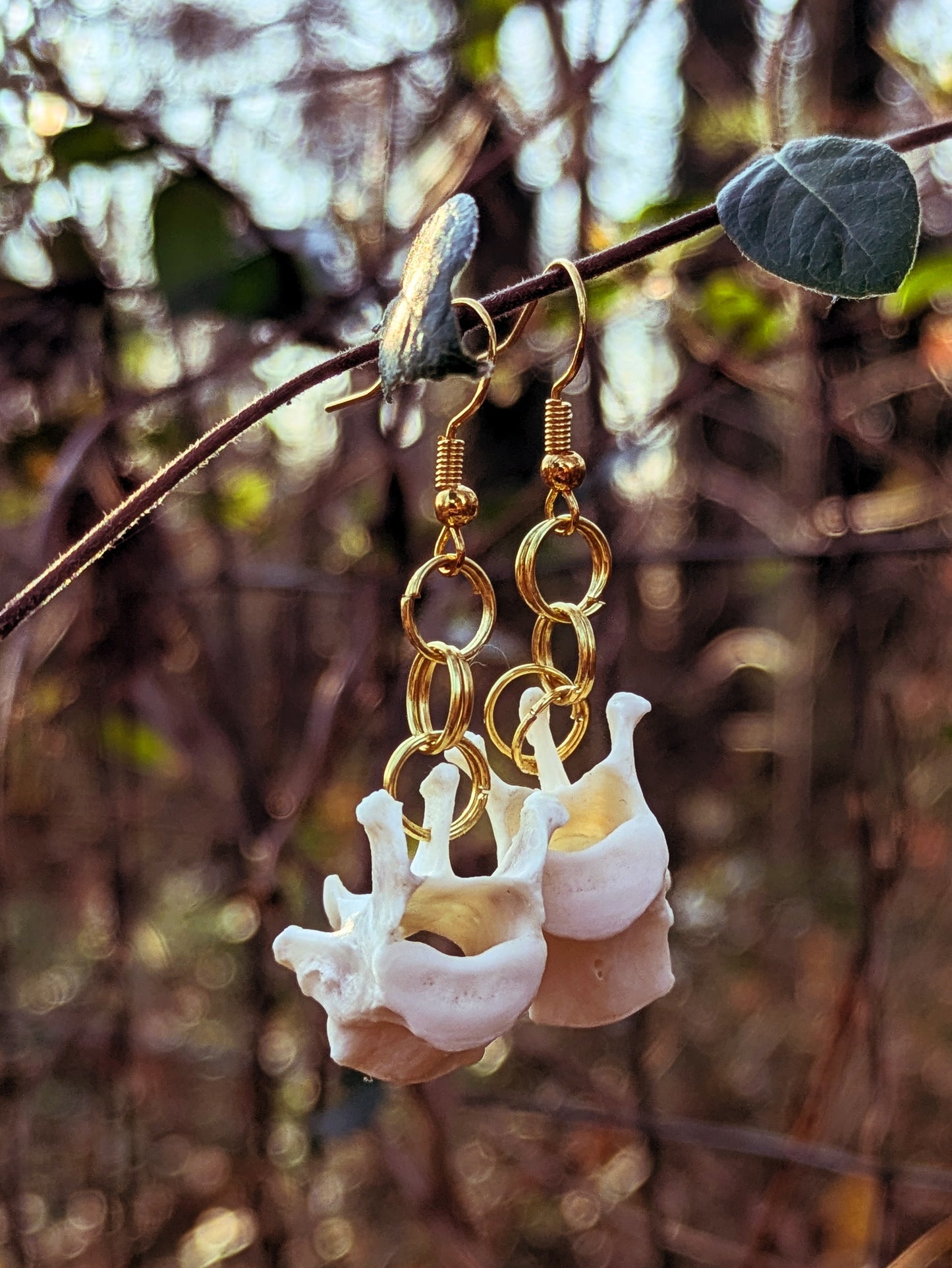 Raccoon Vertebrae Earrings