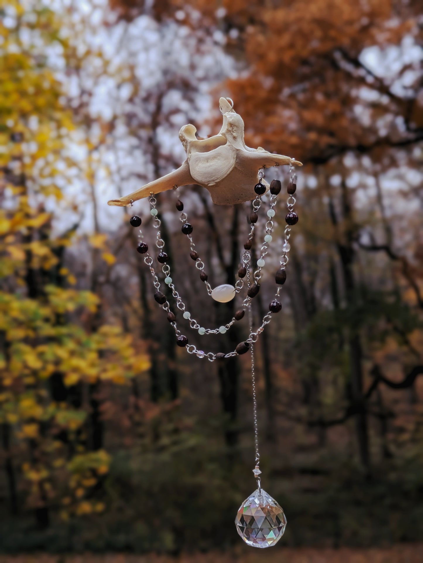 Deer Vertebra Sun Catcher