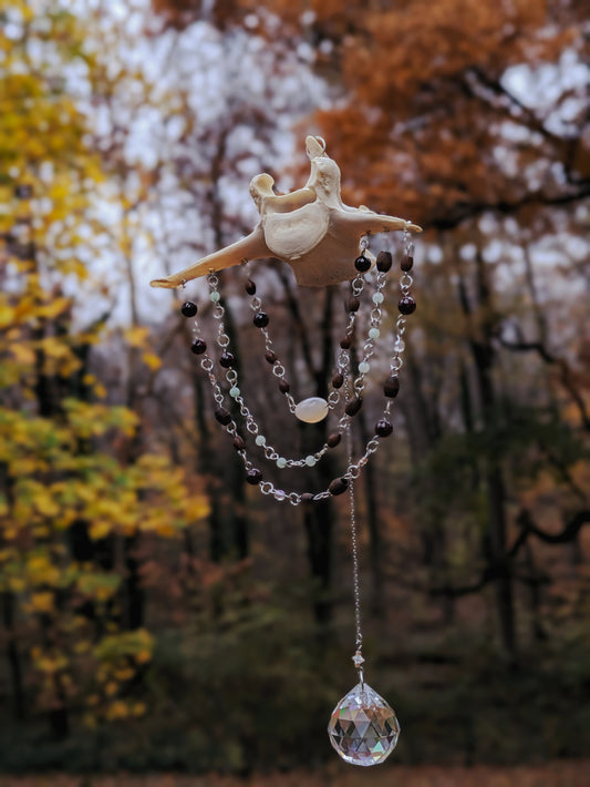 Deer Vertebra Sun Catcher