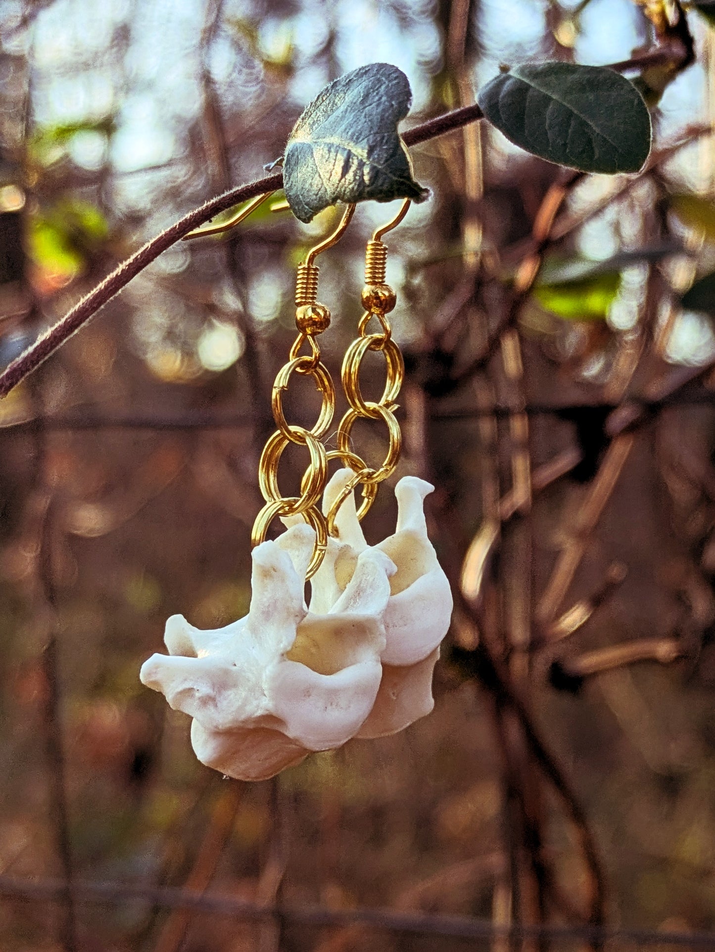 Raccoon Vertebrae Earrings