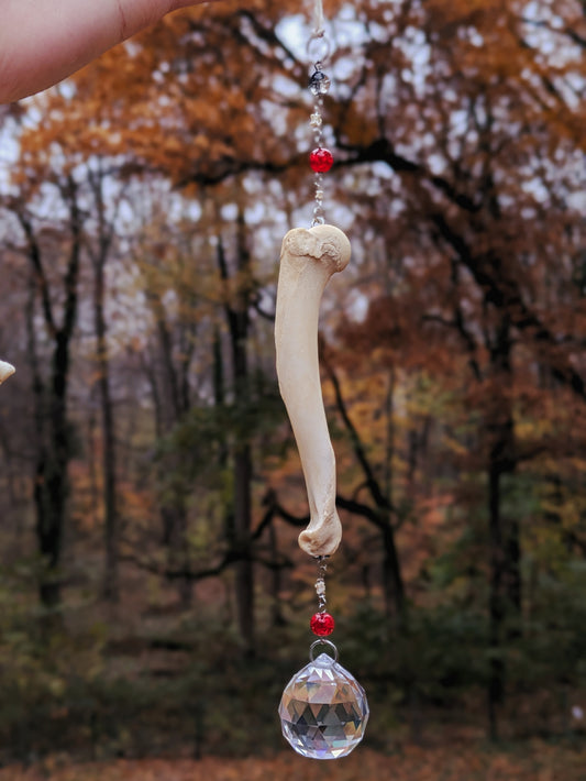 Cat and Snake Bone Sun Catcher
