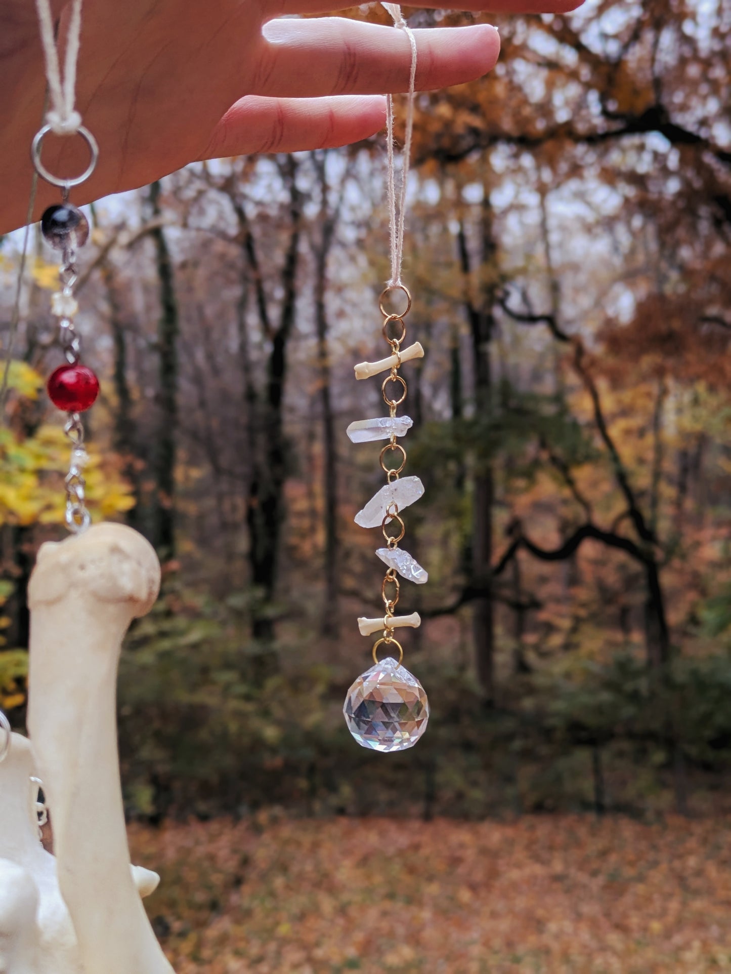 Raccoon Toe Bones Sun Catcher