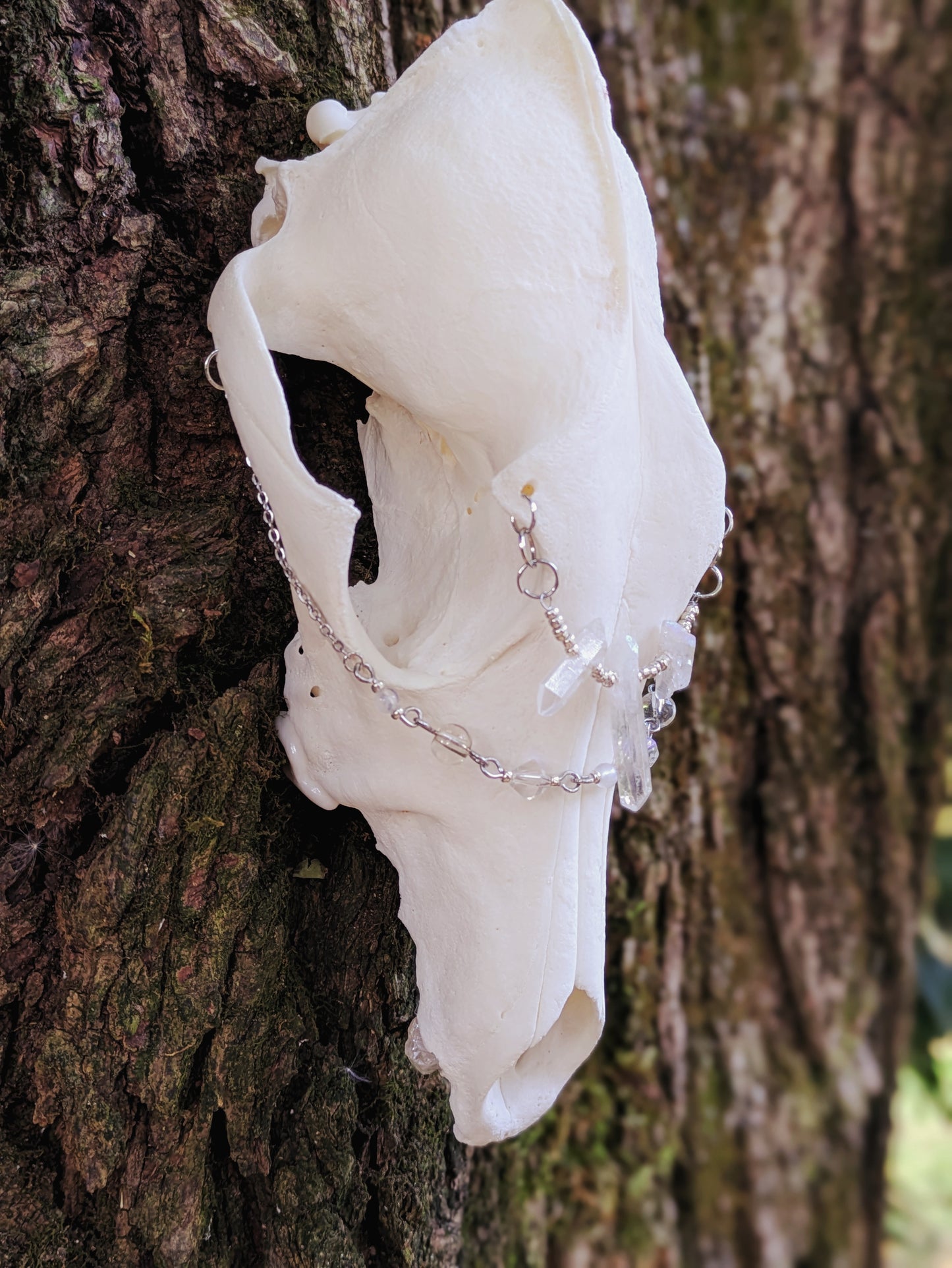 Crystal Coyote Skull