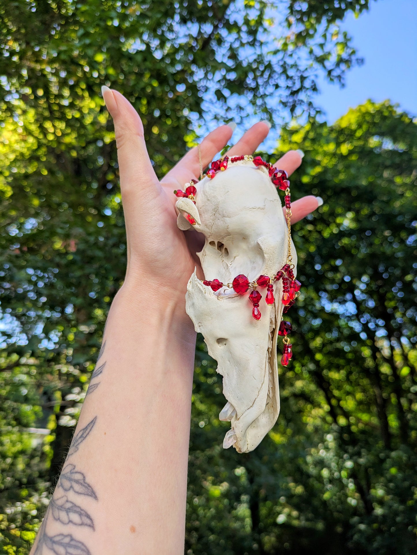 "Bleeding Heart" Coyote Skull