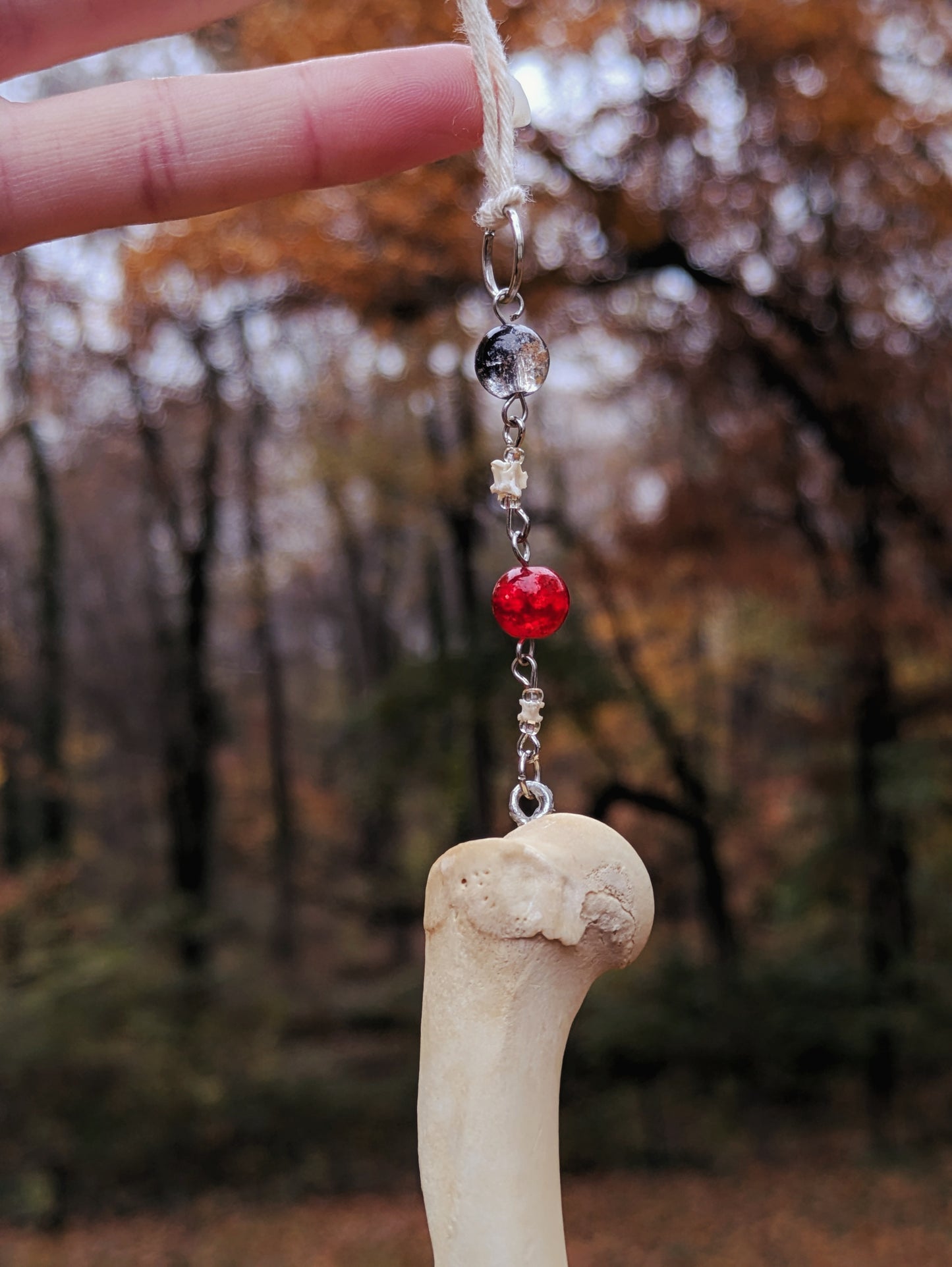 Cat and Snake Bone Sun Catcher