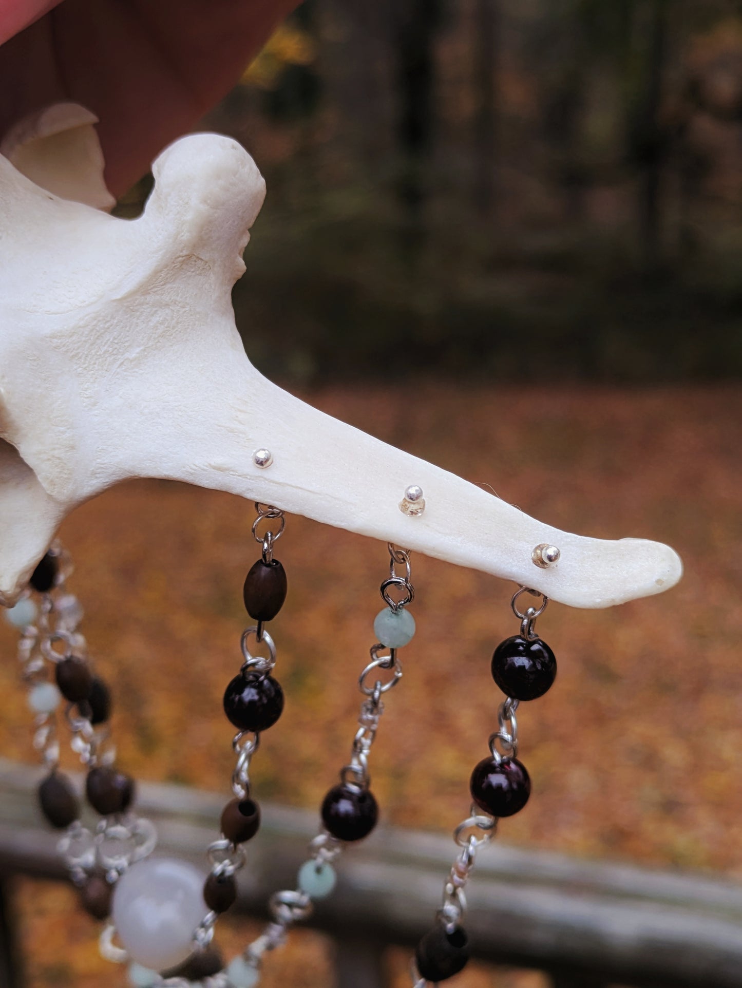 Deer Vertebra Sun Catcher
