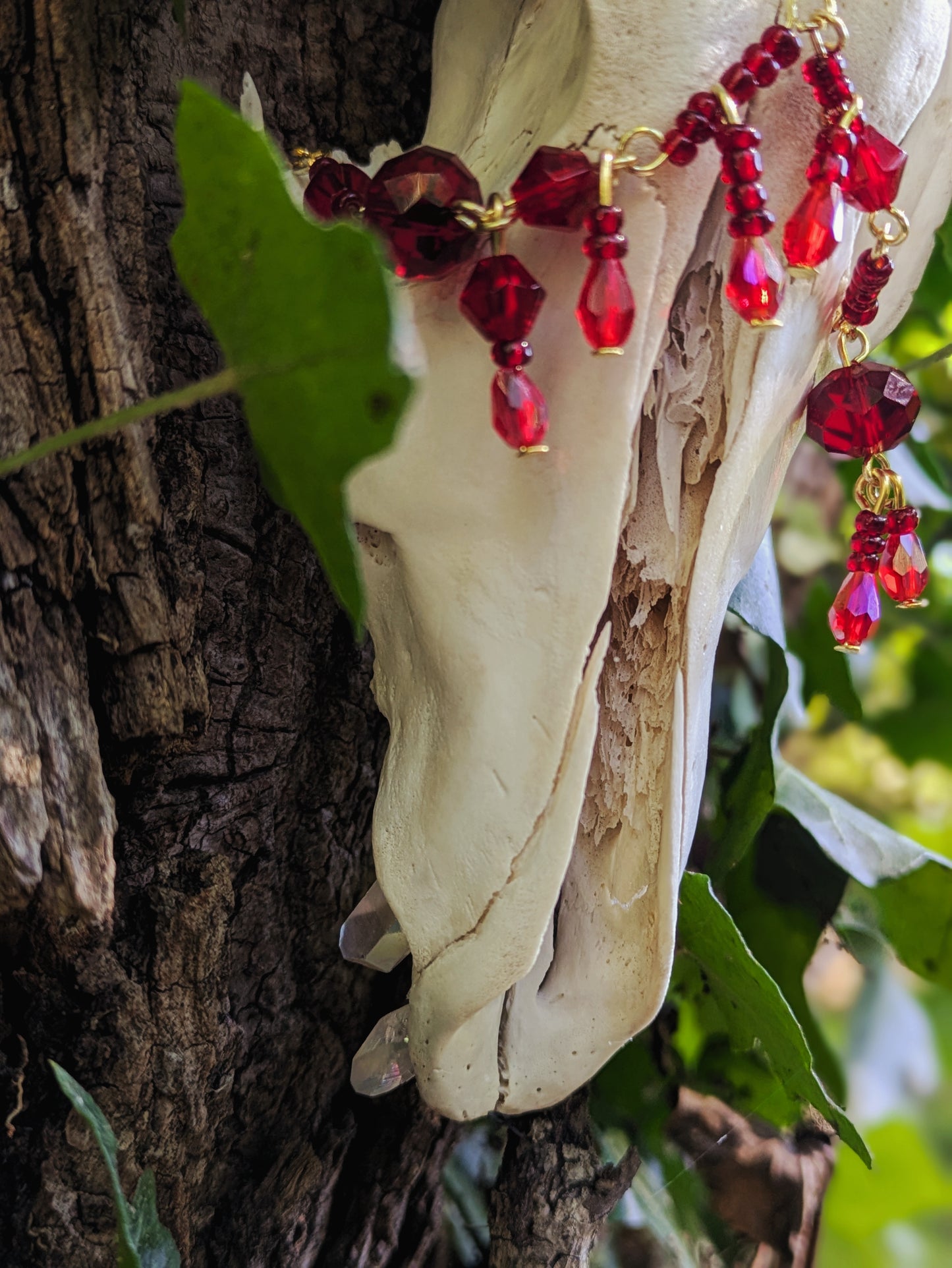 "Bleeding Heart" Coyote Skull