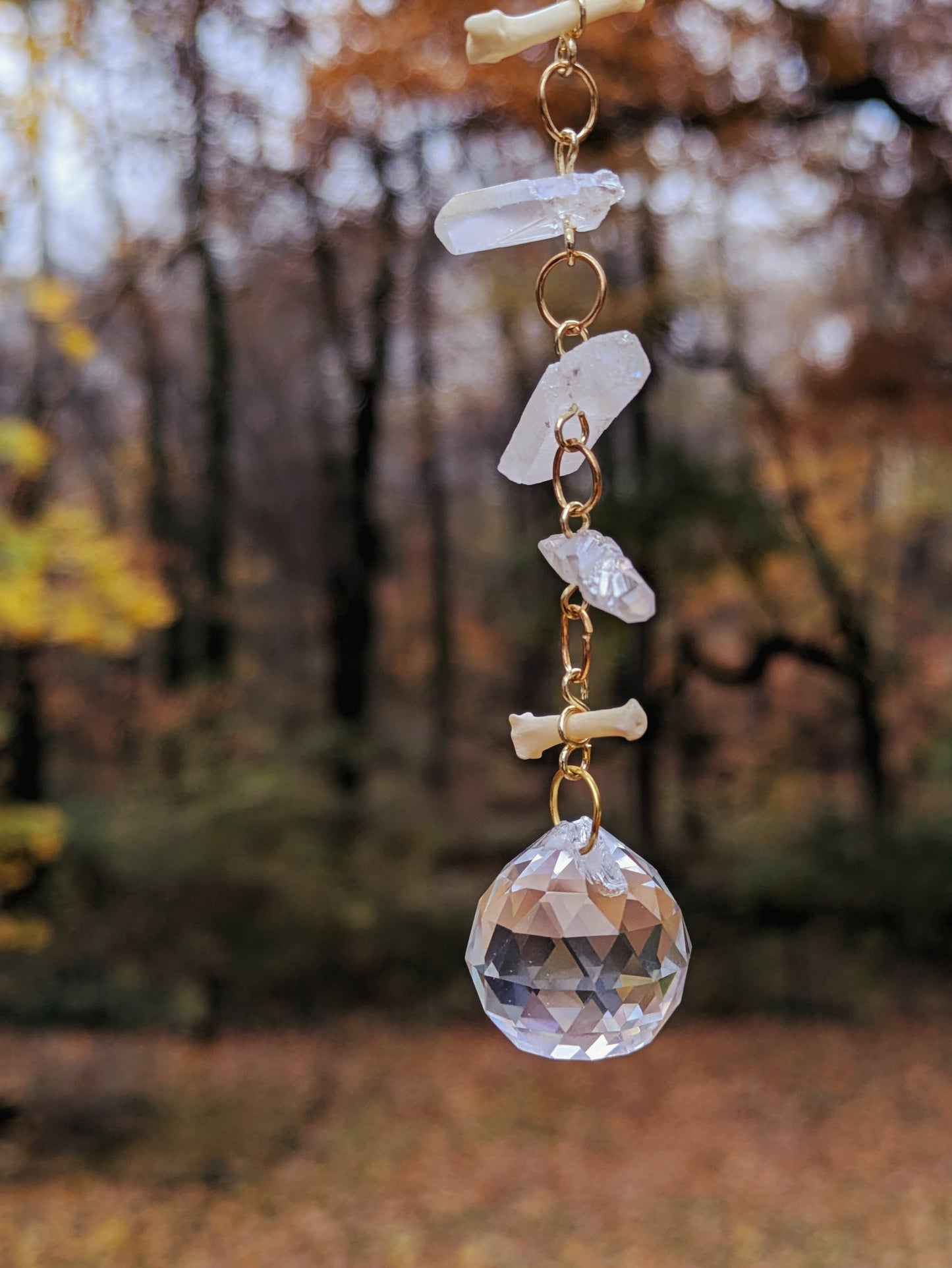 Raccoon Toe Bones Sun Catcher