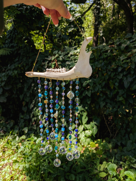 Deer Jawbone Sun Catcher