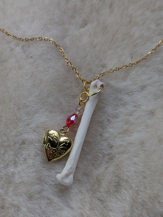 Fox Foot Bone Locket Necklace (discoloration)