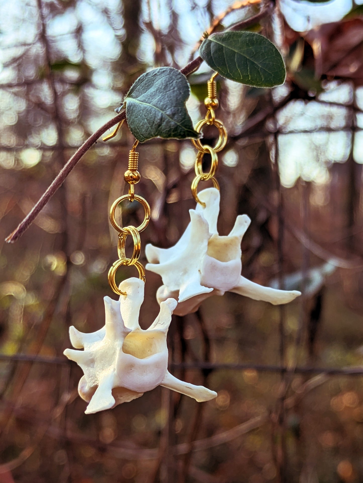 Raccoon Vertebrae Earrings