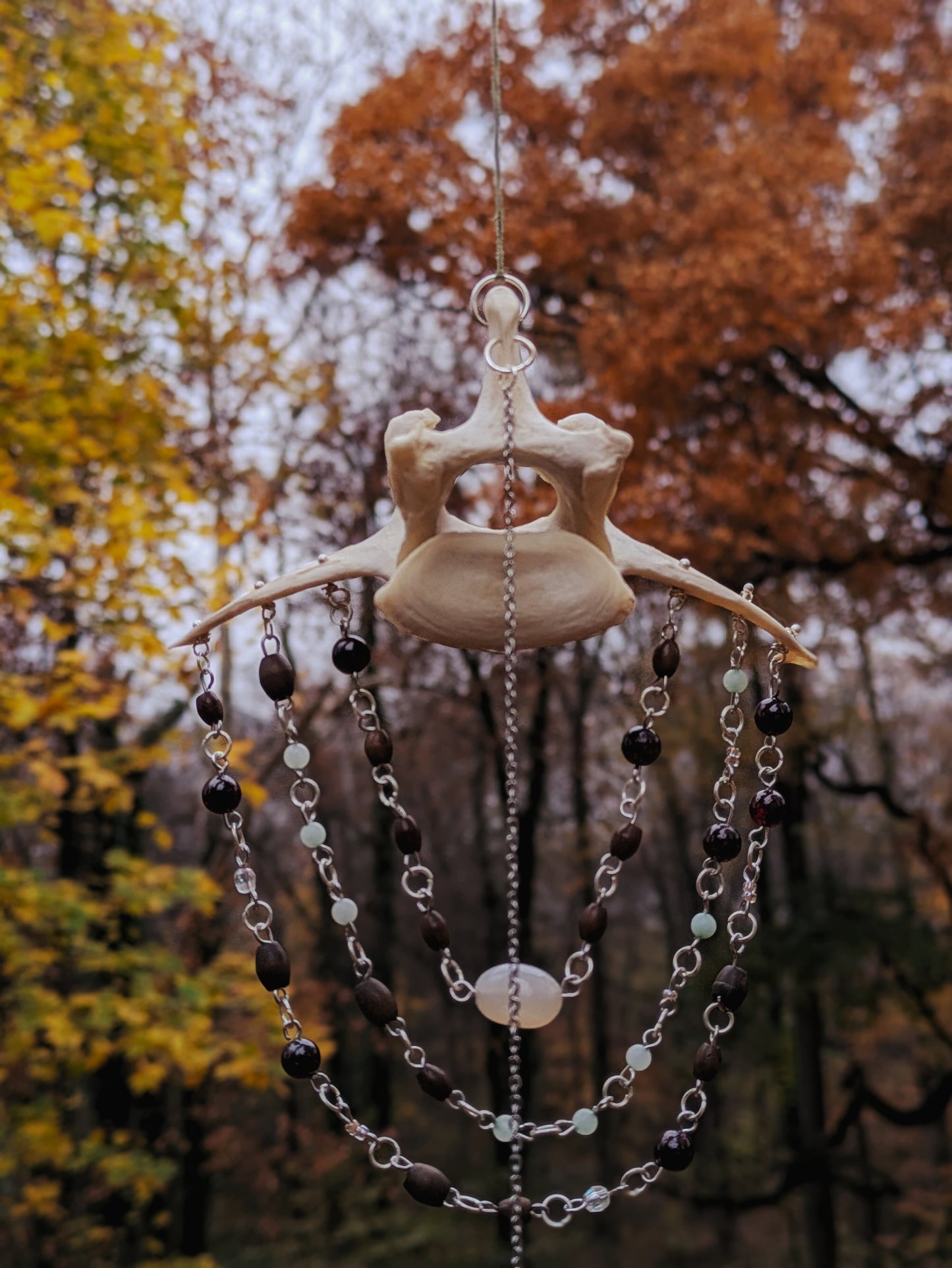Deer Vertebra Sun Catcher