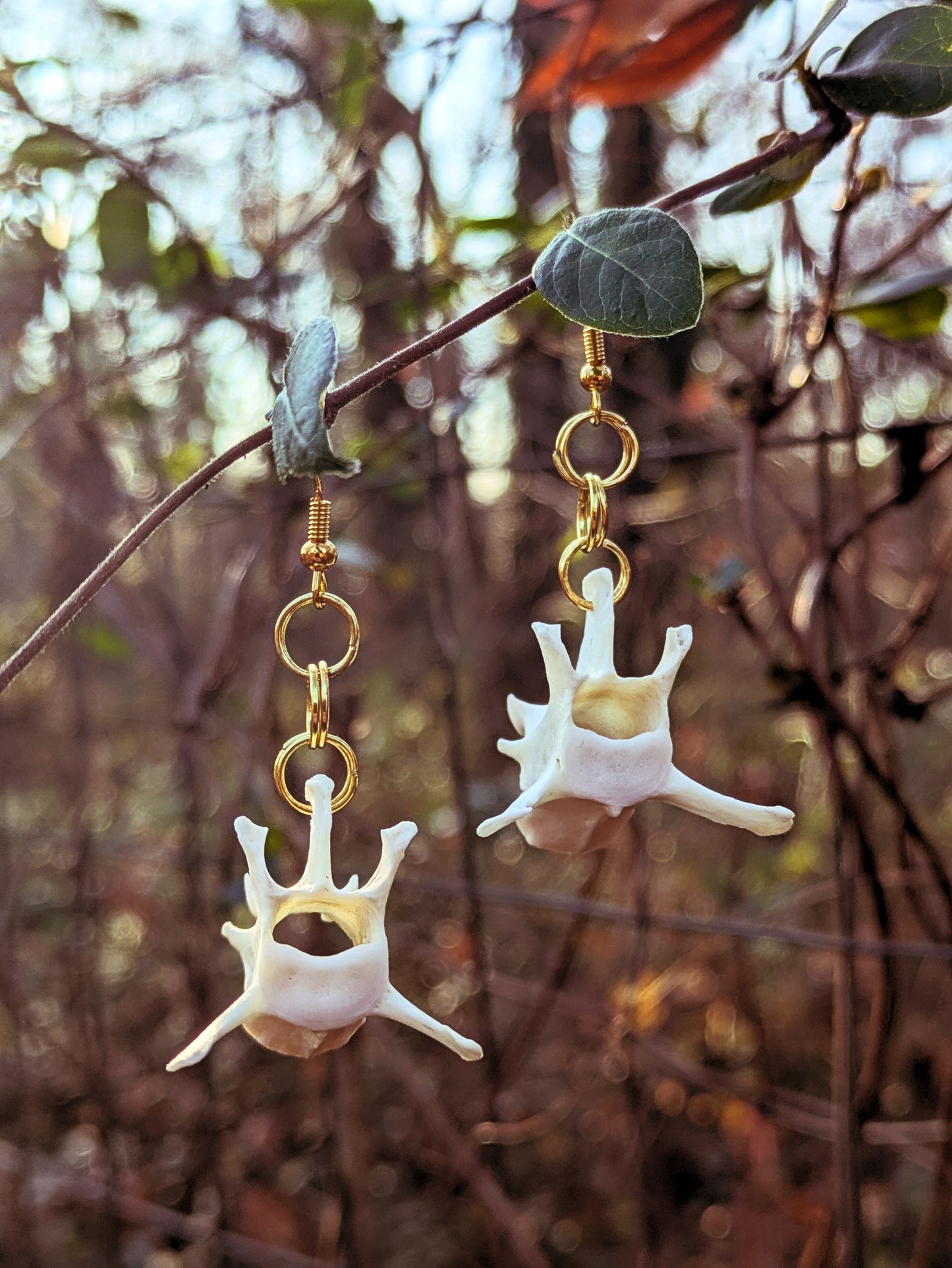 Raccoon Vertebrae Earrings