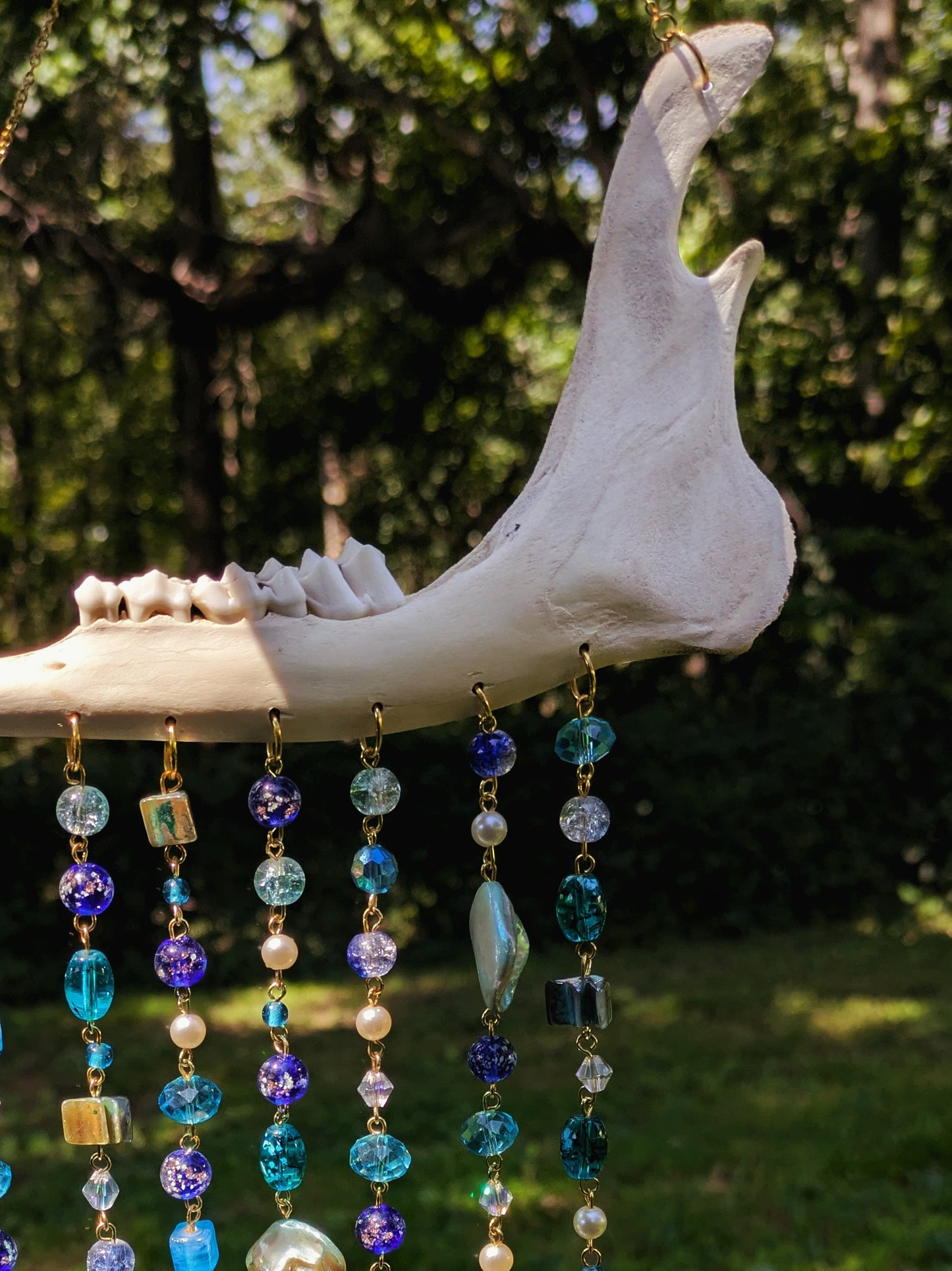 Deer Jawbone Sun Catcher