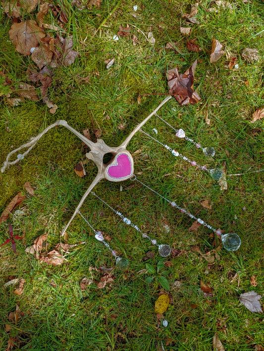 Cow Vertebra Lovely Sun Catcher