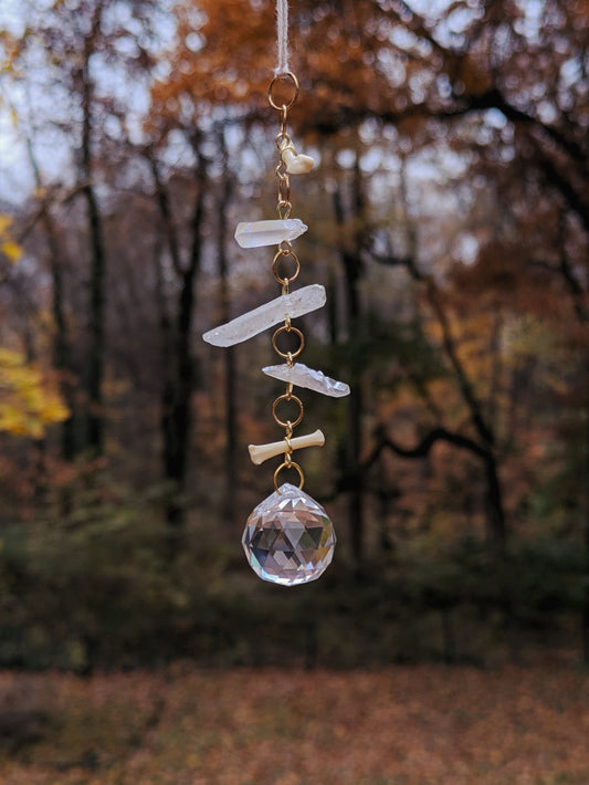 Raccoon Toe Bones Sun Catcher