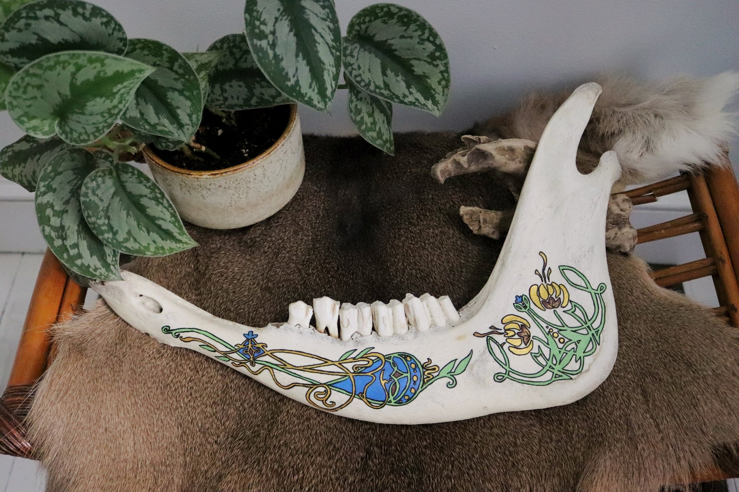 Art Nouveau Painting on Cow Jawbone