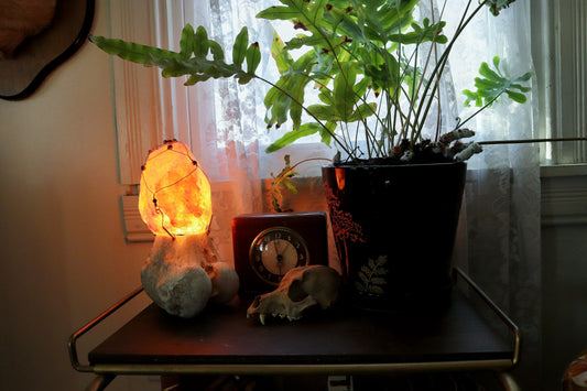 Bone Salt Lamp with Rhodonite Crystals